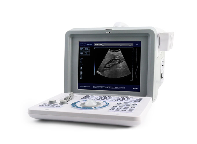 Dolphi® pro - 1