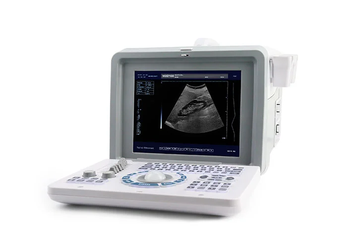 Dolphi® pro - 1